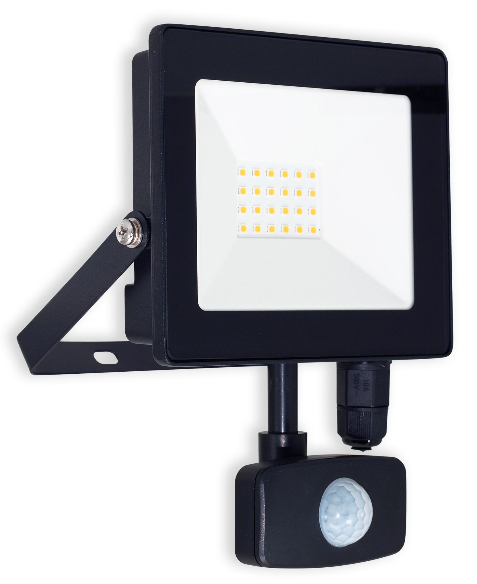 ARGUS LIGHT L1SFL LED 10 W reflektor + PIR senzor 